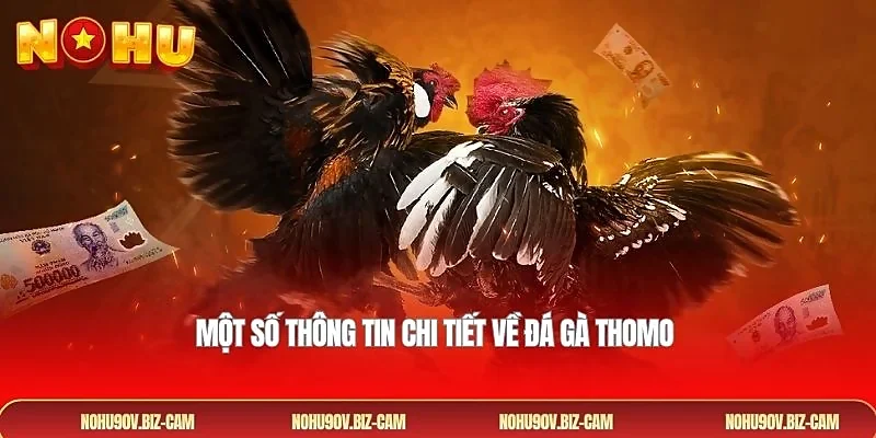 Một số thông tin chi tiết về đá gà Thomo